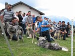 1° Convegno 'Il lupo nel Parco delle Orobie' - 5° Campionato Cani Pastore per Bovini 